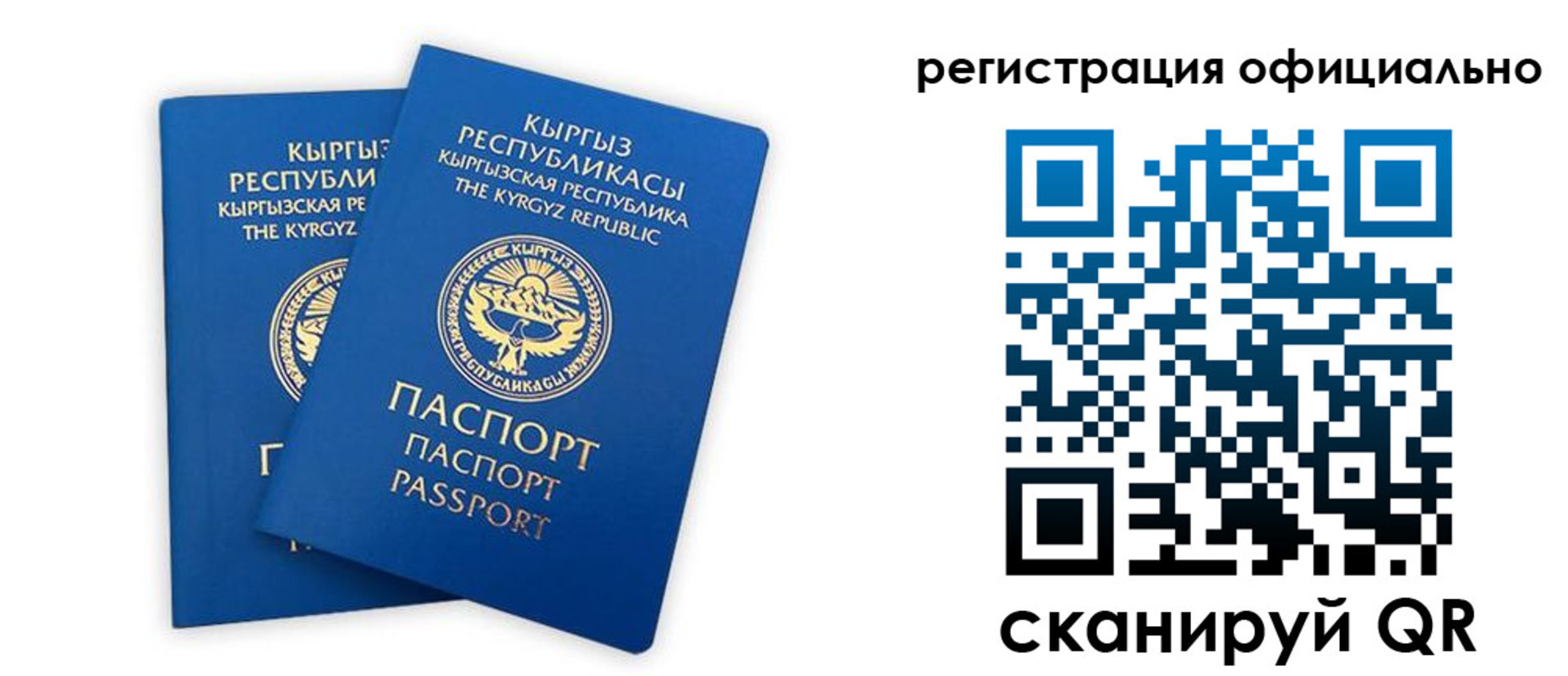 прописка поиск в Владикавказе